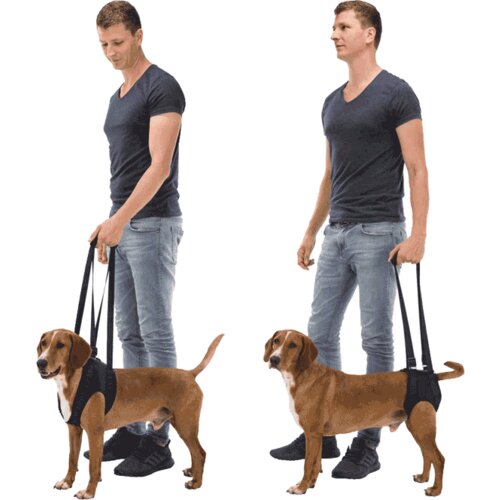Trixie Pojas za pomoć pri kretanju Dog Walking Aid Cene