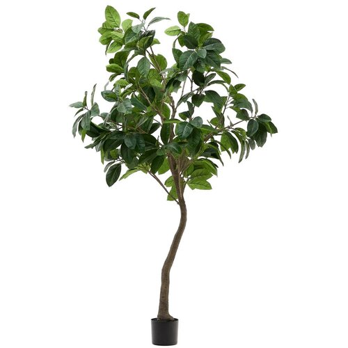Kave Home Umetni fikus (višina 210 cm) Ficus – Cene