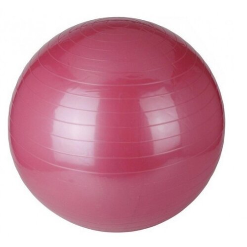  Pilates lopta 75 cm Cijene