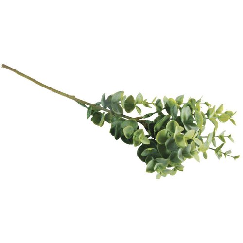 RAYHER Veljica pušpan, 40cm, (20634010) Cene