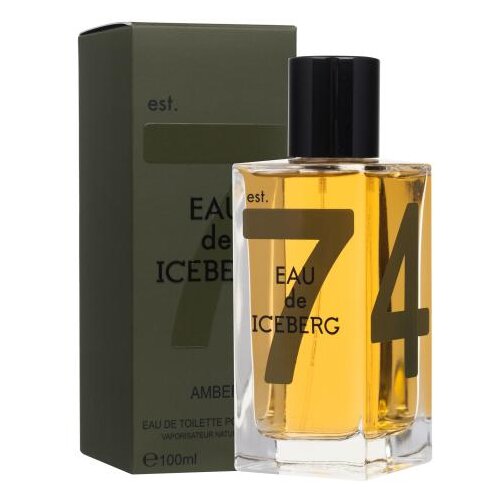 Iceberg Eau de Amber 100 ml toaletna voda za mo&amp;scaron;ke Slike