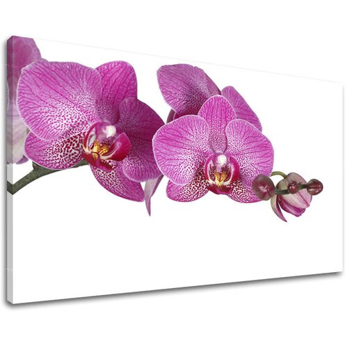  Slike na platnu cveće  (moderne slike na platnu) Cene