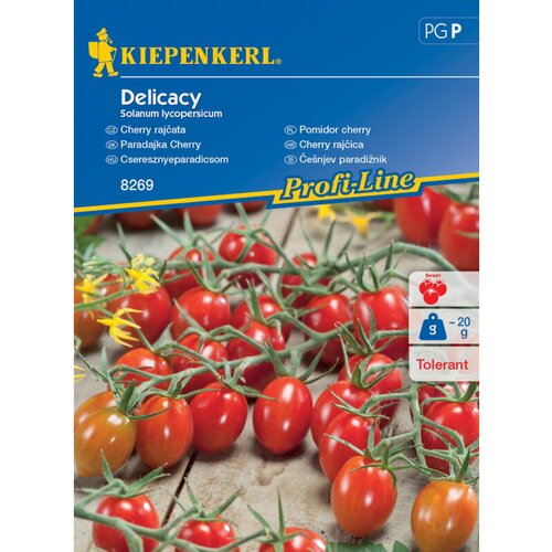 KIEPENKERL Če&amp;scaron;njev paradižnik Delicacy Kiepenkerl (Solanum lycopersicum) Slike