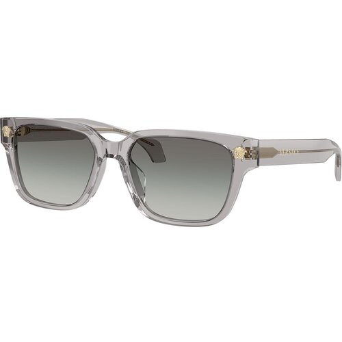 Versace VE4513D 593/11 ONE SIZE (56) Siva/Siva Cene