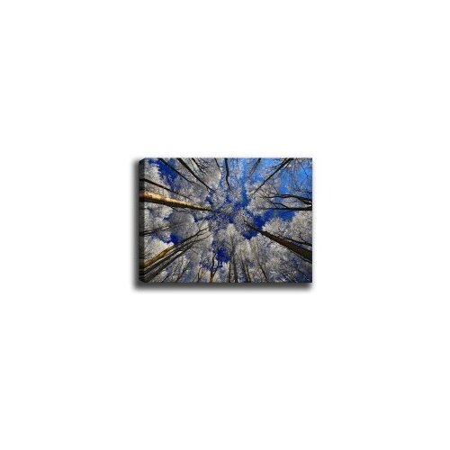 Wallity Slika Kanvas Tablo-7, 70x100 cm Slike