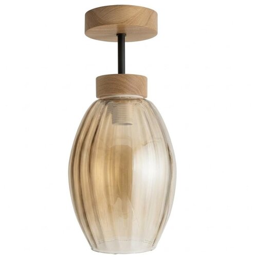 Brilagi LED plafonski luster R GLASS 1xE27/60W/230V Ø 17 cm hrast/dimljeno bež Cene