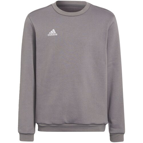 Adidas Sportska sweater majica 'Entrada 22' tamo siva / bijela Cene
