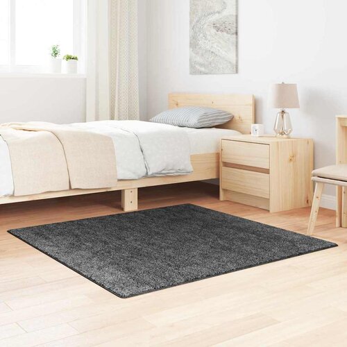  Protuklizni Shaggy Tepih Tamno siva 120 x 120 cm PP Cene