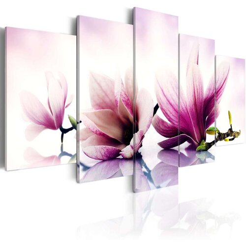  Slika - Pink flowers: magnolias 100x50 Slike
