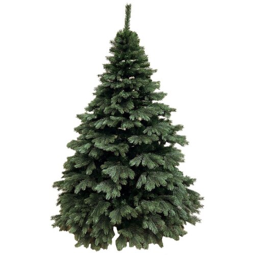 Molarem Home Umjetno božićno drvce AURORA - 240 cm Cene
