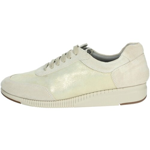 Scholl Visoke superge JANET SNEAKER Cene