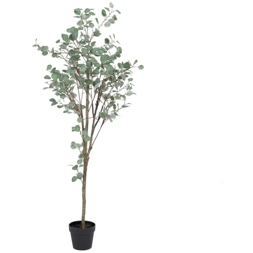 Ixia Umetni evkaliptus (višina 180 cm) Eucalyptus –