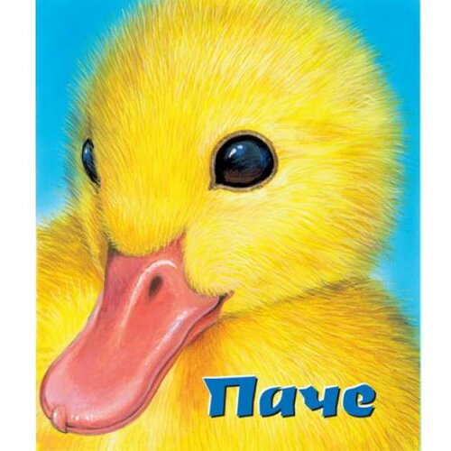 Vulkan Izdavaštvo Pače Cene