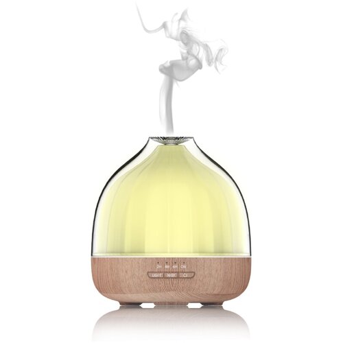 In difuzor (400 ml, &amp;Oslash; x V: 149 cm x 160 mm) Slike