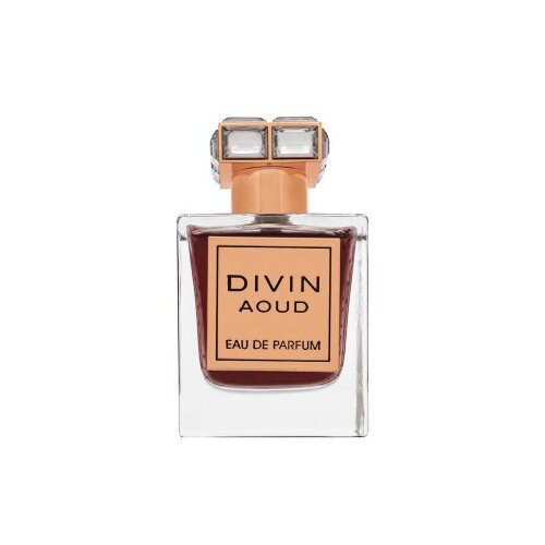 French Avenue Divin Aoud parfumirana voda unisex 100 ml Slike