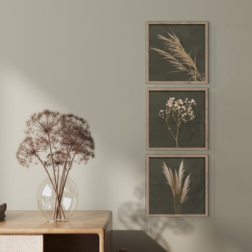 Styler Slike u setu 3 kom 30x30 cm Pampas &amp;ndash; Slike