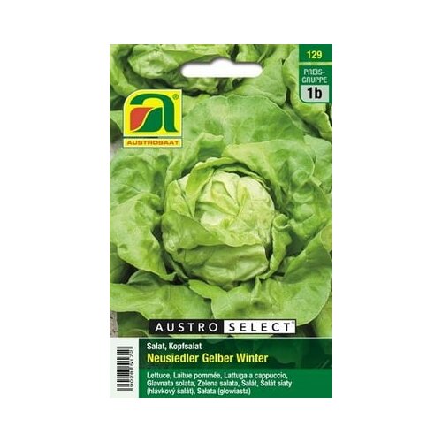 AUSTROSAAT Zelena solata Neusiedler Gelber Winter Cene