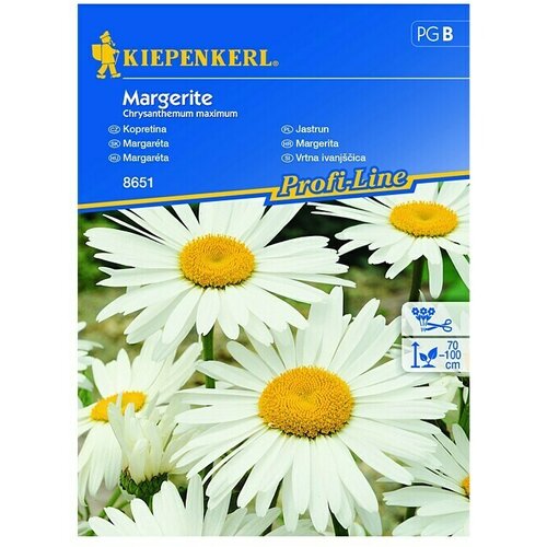 KIEPENKERL Profi-Line Sjeme cvijeća Margerita (Margerite - Chrysantemum maximum, Žuta, Bijela) Slike