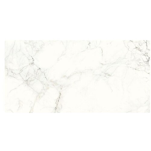 Cersanit Zidna pločica Calacatta Mild (59,8 x 119,8 cm, Bijela) Cijene