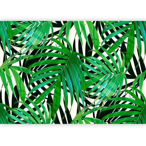  Foto tapeta - Tropical Leaves 150x105 Cene