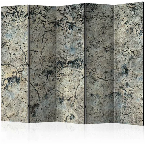  Paravan u 5 dijelova - Cracked Stone II [Room Dividers] 225x172