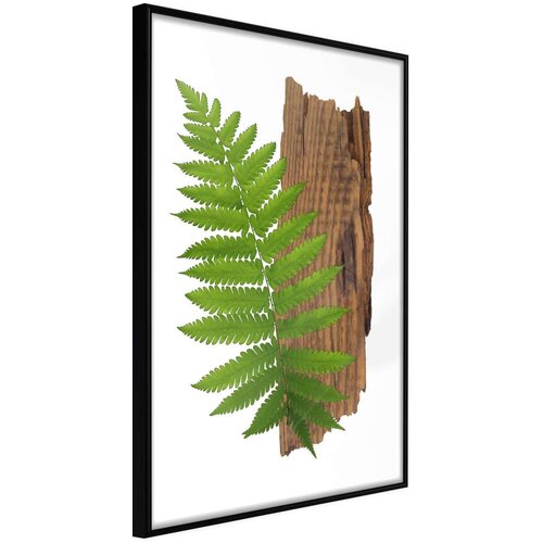  Poster - Expressive Ferm 40x60 Slike