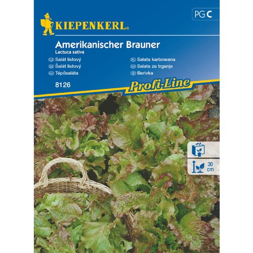 KIEPENKERL Berivka Kiepenrkerl (Lactuca sativa) Slike