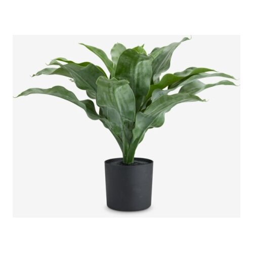  Ve&amp;scaron;tačka biljka &amp;Oslash;49xv44cm zelena Slike