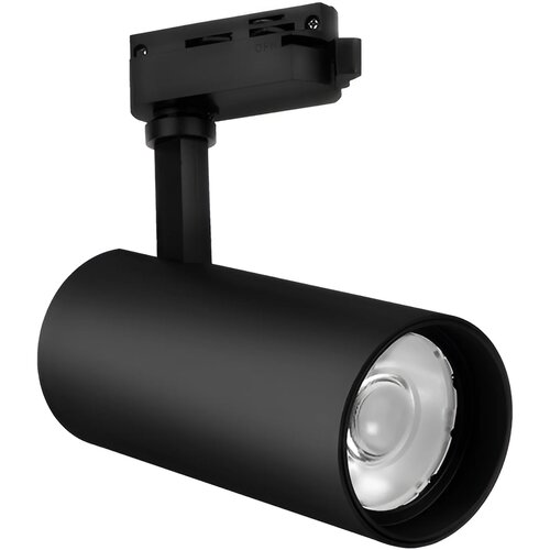 Braytron LED Šinski Reflektor 30W Crni 3000K Monofazni BD30-01601 Cene