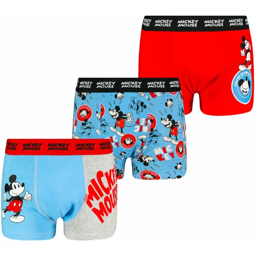 Licensed Boys boxer shorts Mickey Mouse 3P Frogies