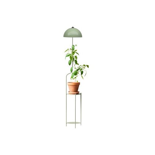 Opviq podna lampa 241312 Cene