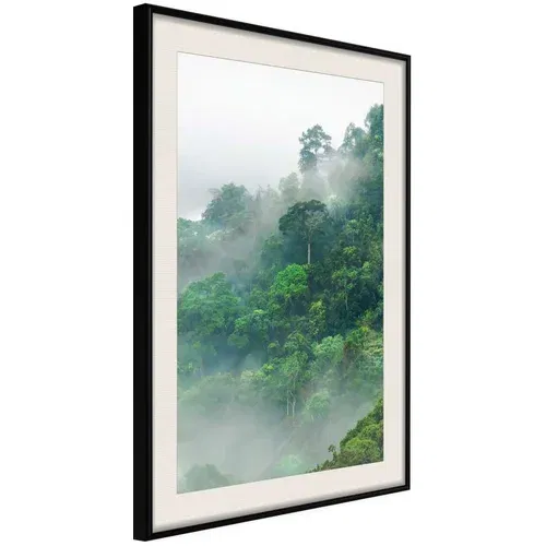  Poster - Green Lungs of the Earth II 40x60