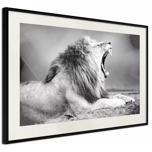  Poster - Yawning Lion 45x30