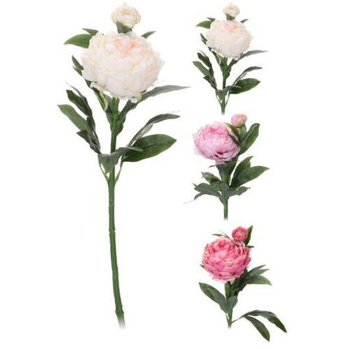  PEONIJA 60CM SORTO Cijene