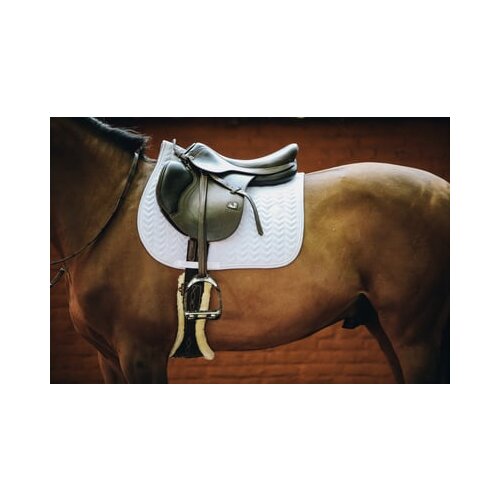 Kentucky Horsewear Skakalna podsedelnica "Fishbone" - Bela Cene