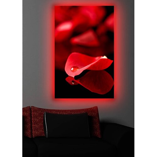 Wallity Zidna slika sa LED osvetljenjem 4570DACT-9, 45x70 cm Cijene