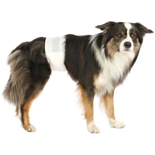 Trixie plenice za samčke L-XL 60-80 cm, 12 kom Slike