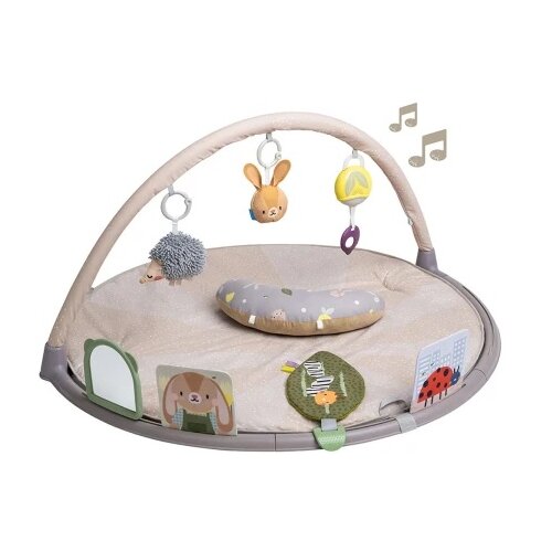 Taf Toys gimnastika ( 22114096 ) Cene