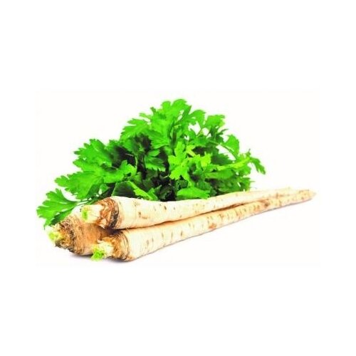 Nepoznato Peršun koren 1kg Cene