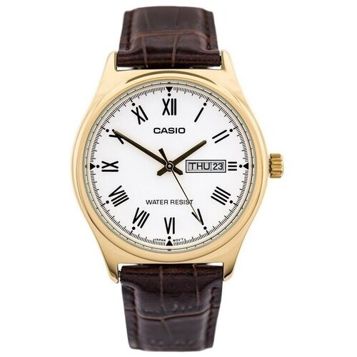 Casio Analogne ure ty36980 pisana Cene