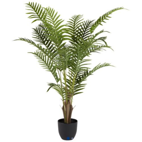 Olimp Sport Veštačka biljka 125cm areca palma Cene