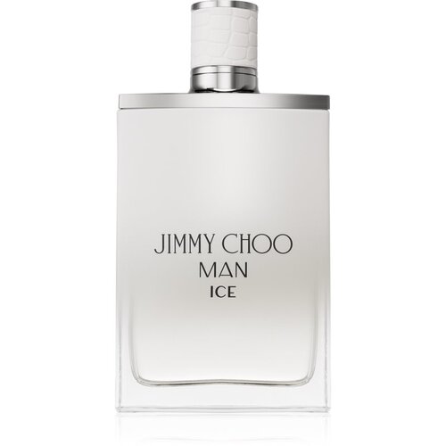 Jimmy Choo Man Ice toaletna voda 100 ml za moške Cene