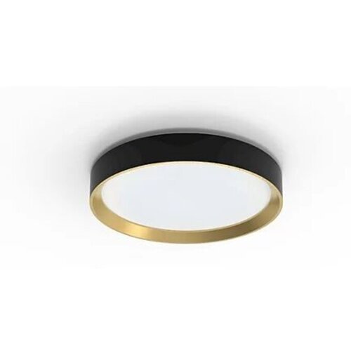 Philips 929004115801 Hanno plafonska lampa ss rd 24w 27k crna b_g ( 20665 ) Cene