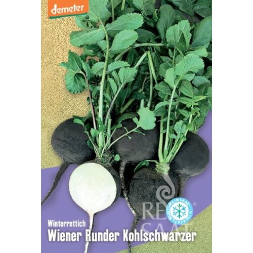  Črna redkev "Wiener Runder Kohlschwarzer" - 1 pkt. Cene