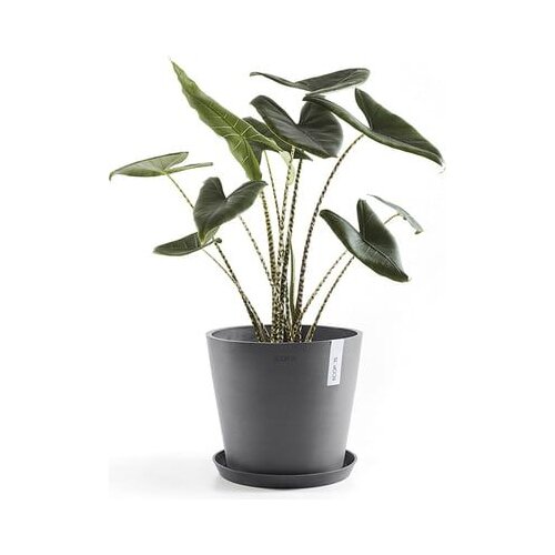 Ecopots Round Coaster - siva - ∅ 37, višina 3,8 cm Cene
