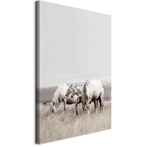  Slika - White Horses (1 Part) Vertical 60x90 Na talijanskom platnu Cene