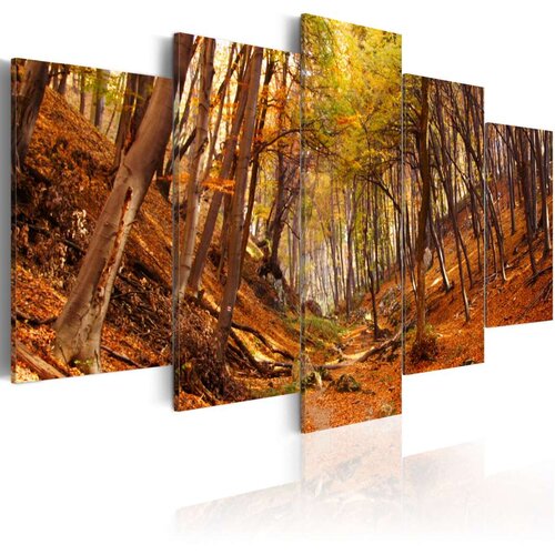  Slika - Orange autumn 200x100 Slike