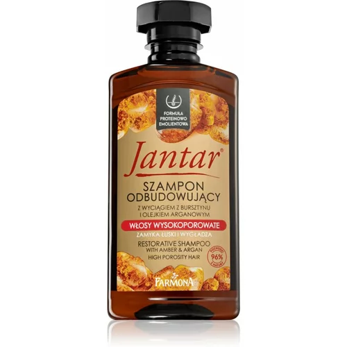Farmona Jantar High Porosity Hair hranilni šampon za sijaj in mehkobo las 330 ml