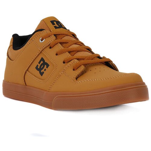 Dc Shoes Nizke superge PURE BOYS Siva Slike