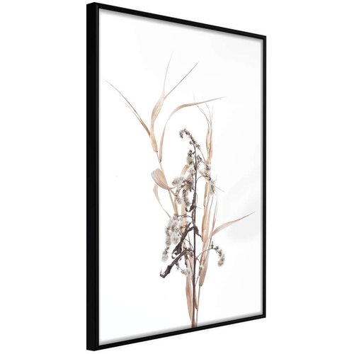  Poster - Found on the Field 30x45 Cijene